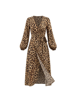 Robe LEO