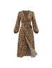 Robe LEO